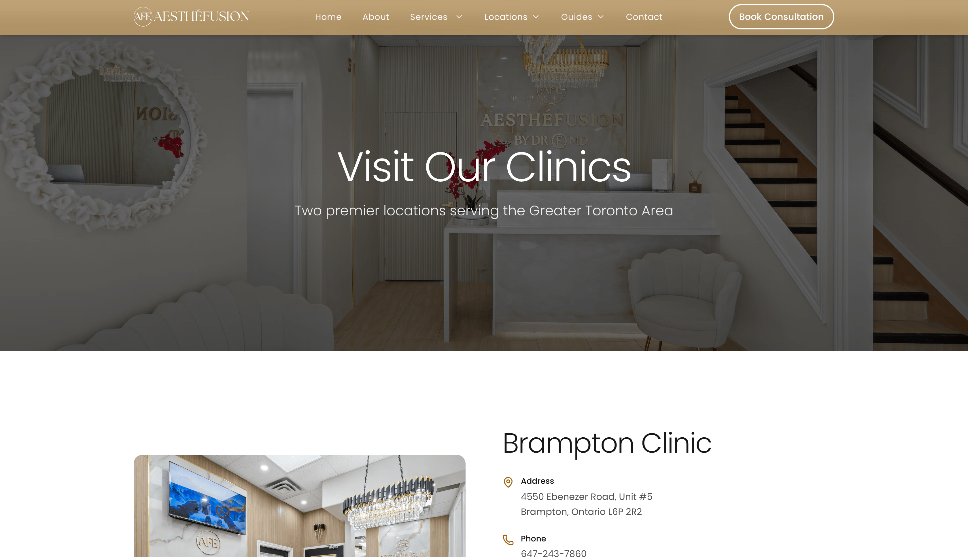Aesthefusion: Premium Medical Aesthetics & Wellness Platform gallery image 2