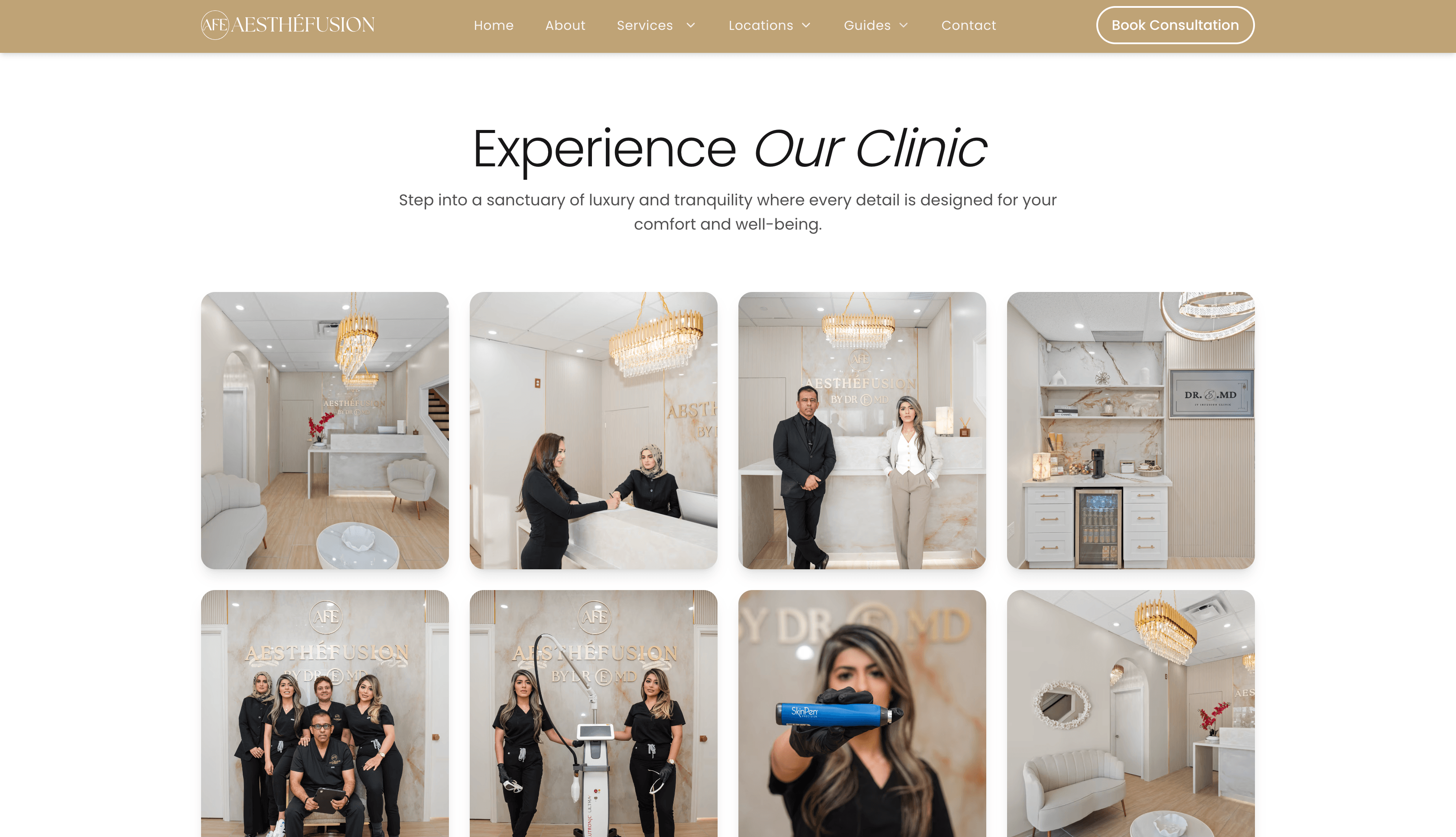 Aesthefusion: Premium Medical Aesthetics & Wellness Platform gallery image 1