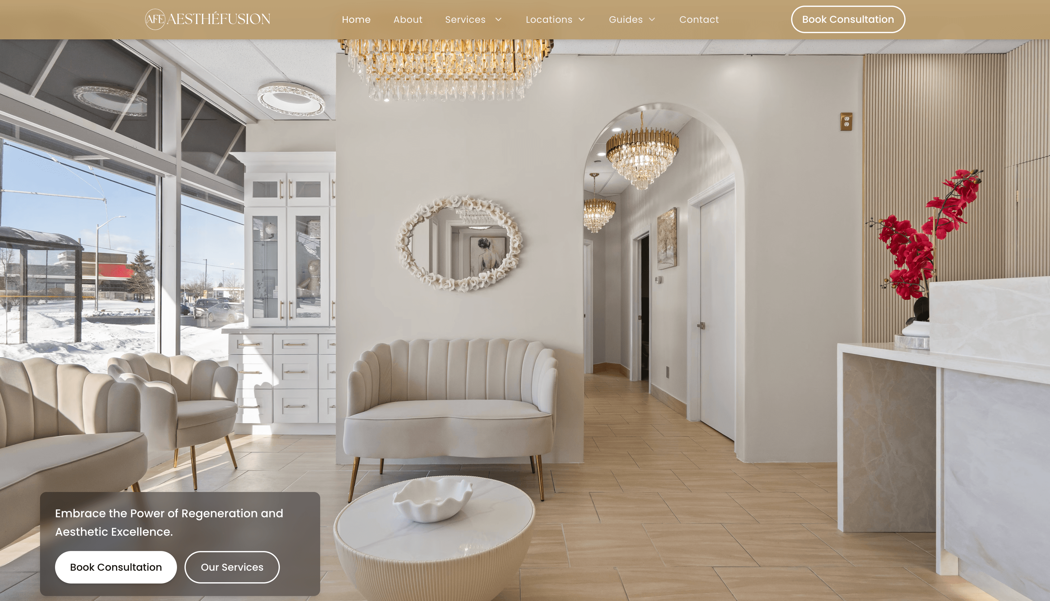 Aesthefusion: Premium Medical Aesthetics & Wellness Platform